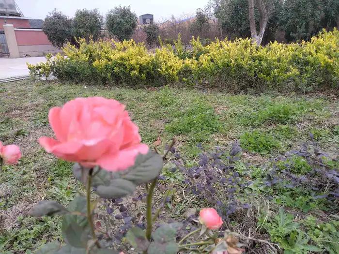 画与景,幼儿长卷画景