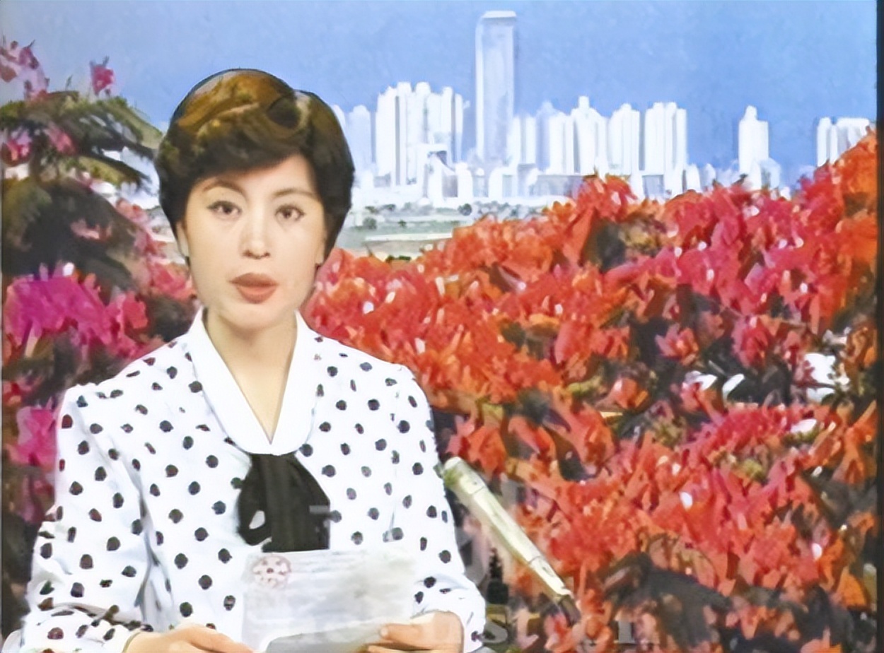 央视主播李瑞英儿子坠楼,央视新闻主播李瑞英怎样了