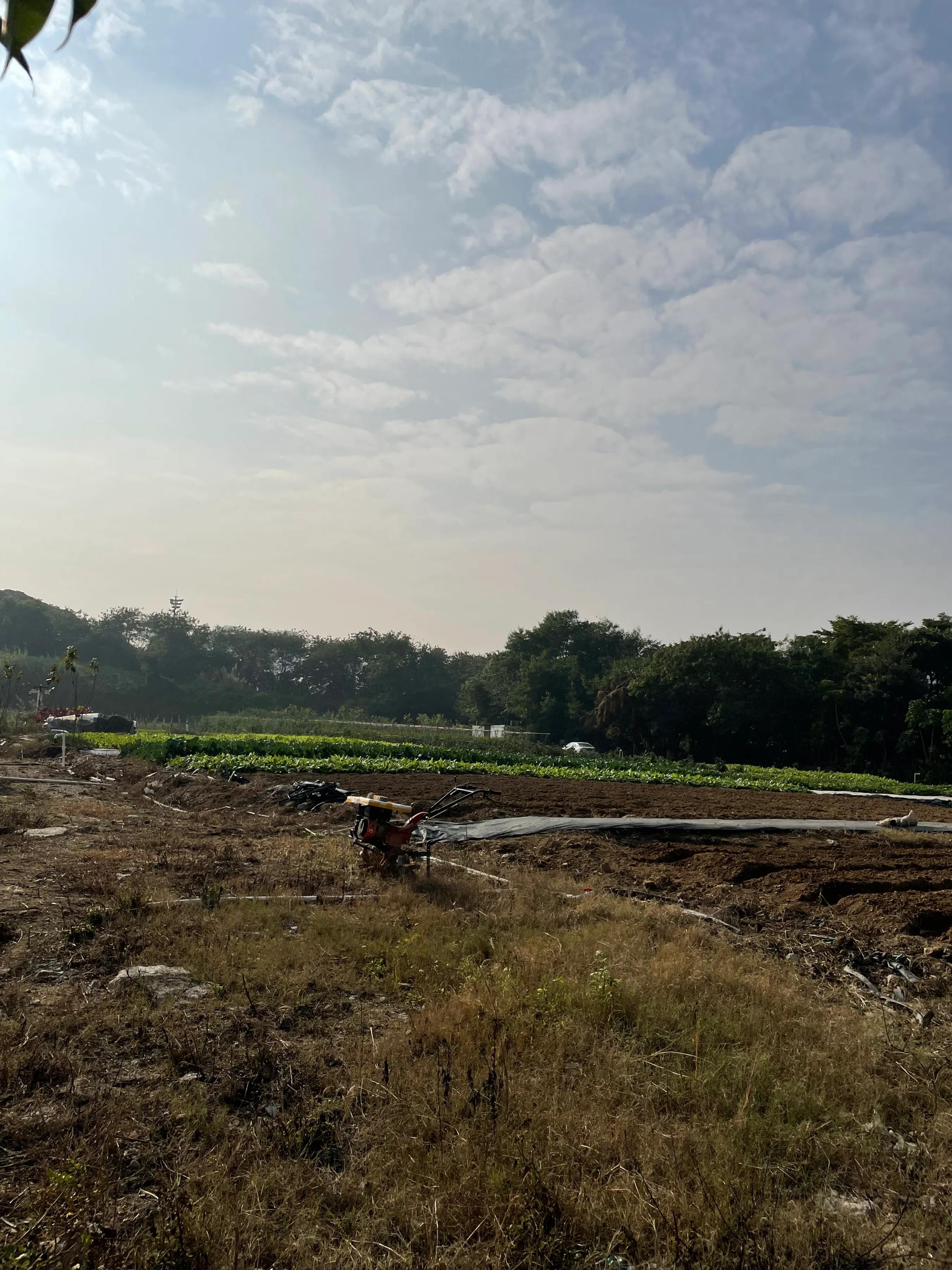 企龙山生态公园游玩攻略,龙山公园风景区