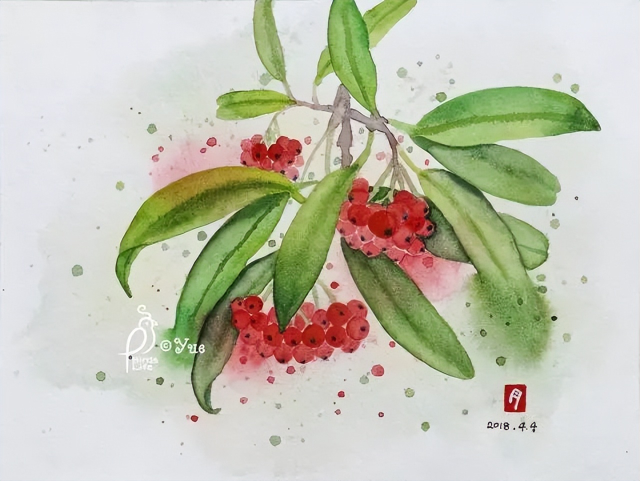 石楠为什么这么臭,石楠为什么有臭味