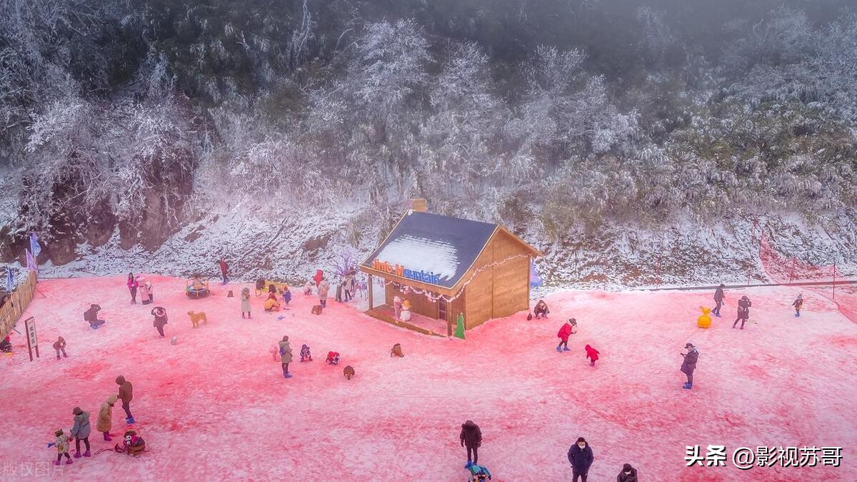 粉雪是日文歌吗,粉雪是英文歌还是日语歌