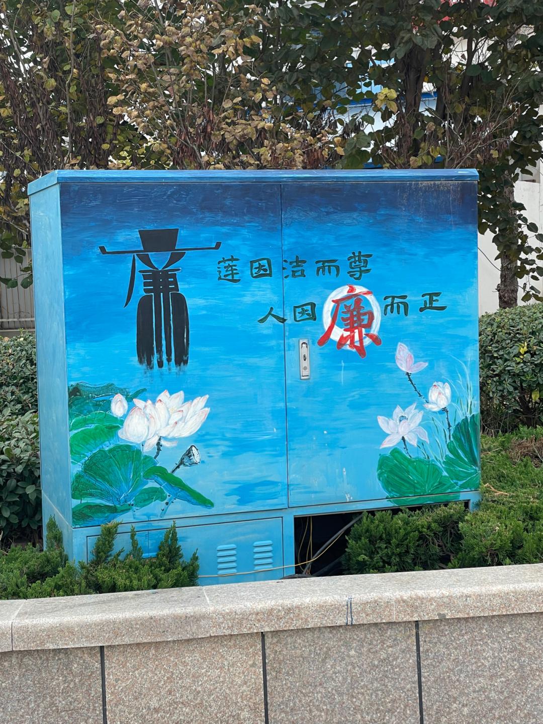 董董骑行山东,懂懂骑山东