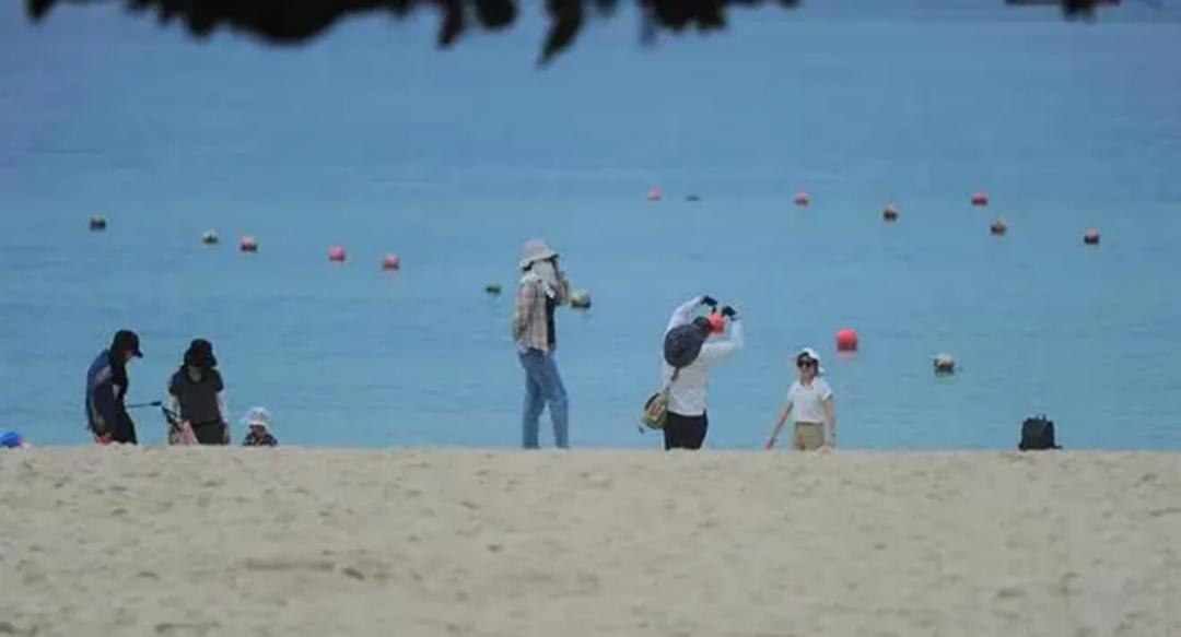 d2809动车发生脱线事故责任,d2809动车