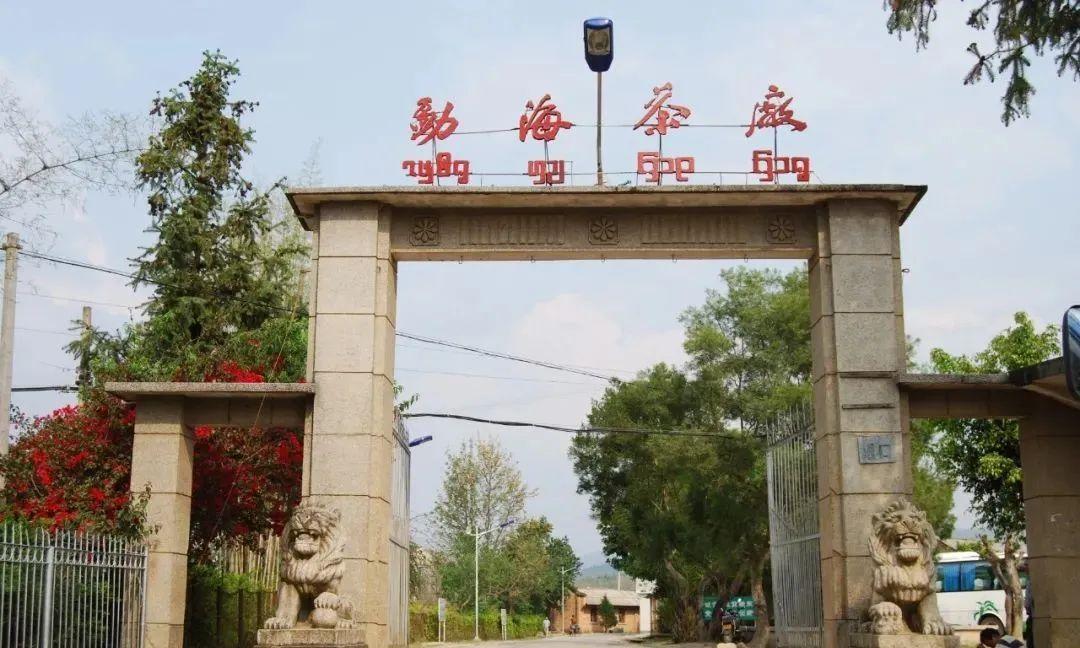 普洱茶惊艳的小产区,一张图看懂100个普洱茶产区