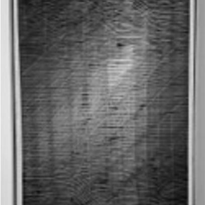 “FossilsDance－太古⽯的舞痕”