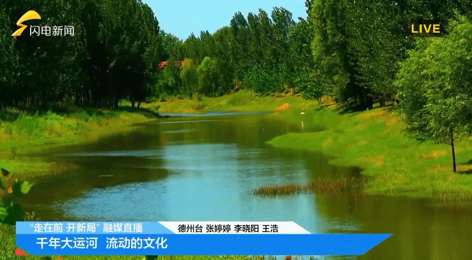 疯狂连更！山东这场持续两个月的直播，观看量超3.7亿