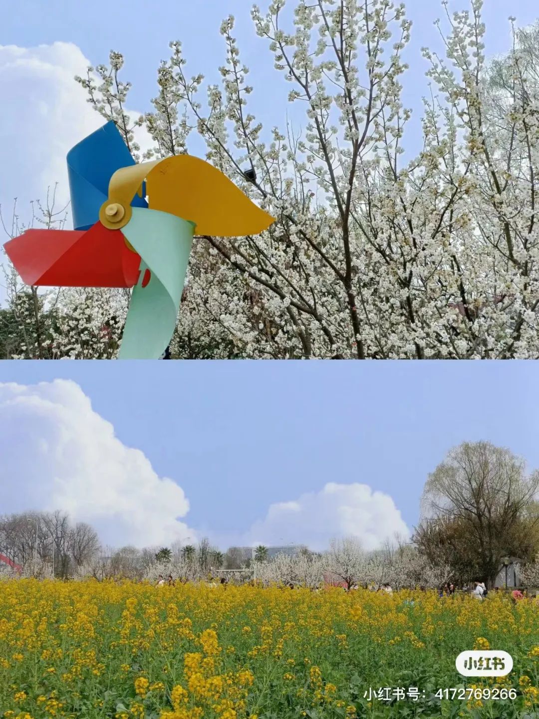 成都免费露营地推荐过夜,成都周边露营地推荐自驾