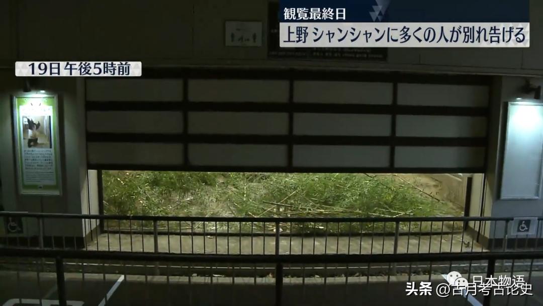 旅日大熊猫回国日本人反应,四只旅日大熊猫陆续归国