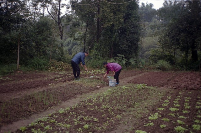 宝贝计划一览表,宝贝计划变变变课程