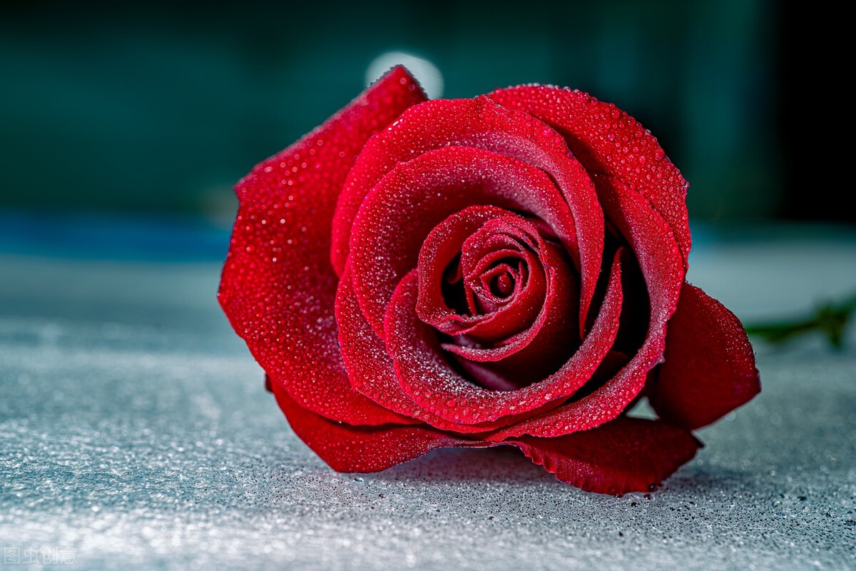 闺女上学谈恋爱怎么办,养女在家里没地位27岁不敢谈恋爱