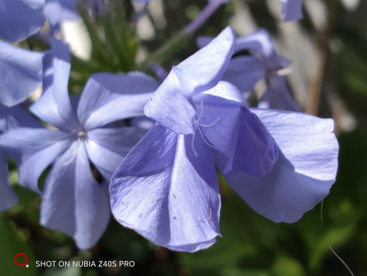 努比亚z40spro全方位评测,小白测评5月20日测评努比亚z40pro