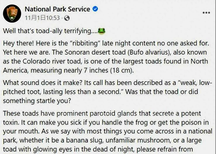 癞蛤蟆会让人上瘾吗,癞蛤蟆的毒有多可怕