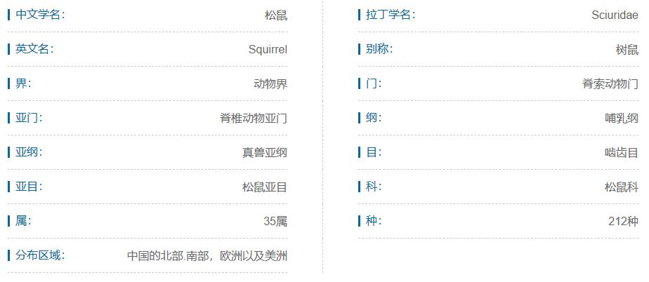 什么宠物对纯素食者最好,好养且可以食用的宠物有哪些