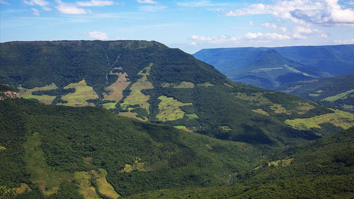 日本购买大量海外土地,日本大量在外国买地