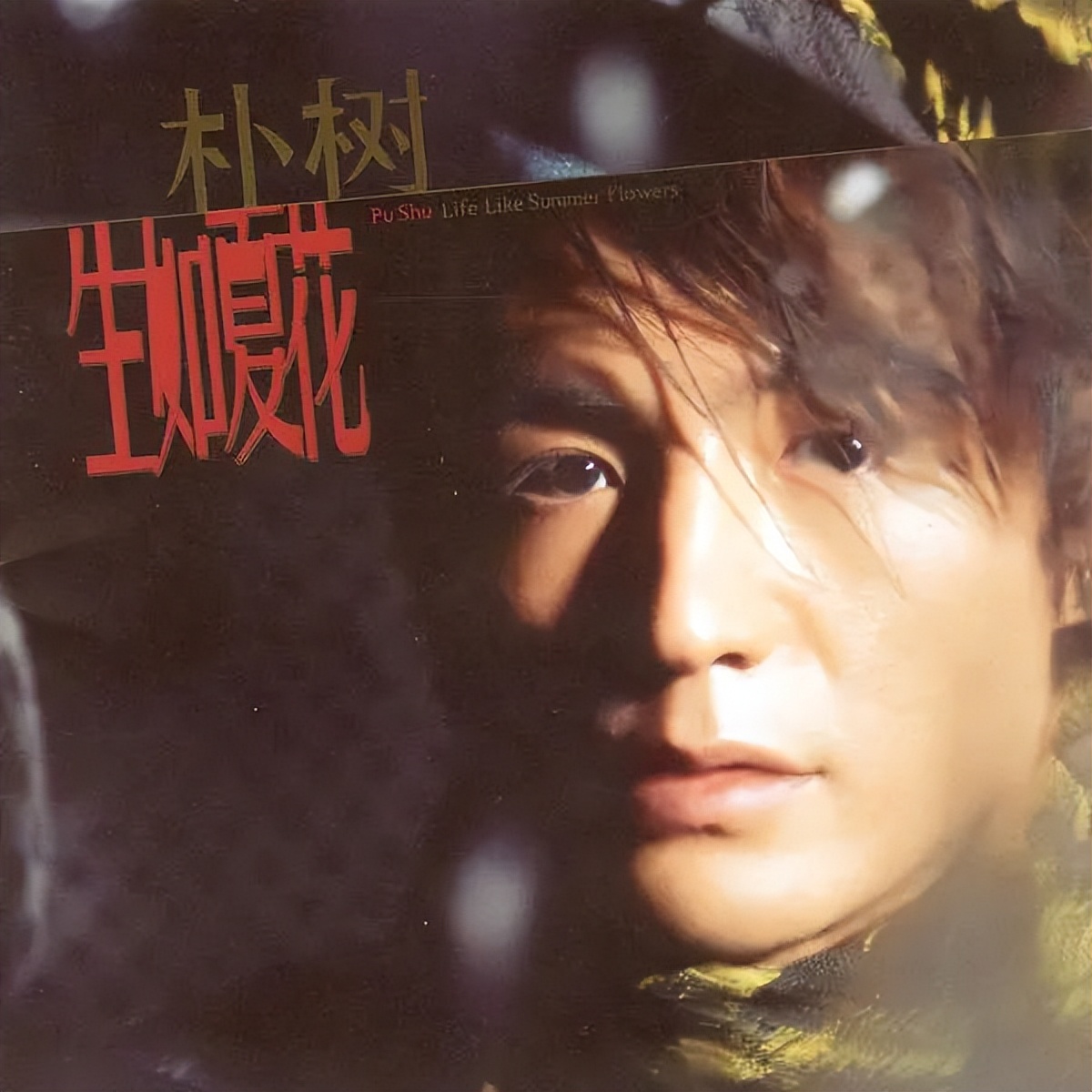 朴树娱乐圈段位,朴树音乐圈地位