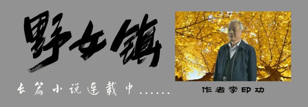 野女镇第一集,野女镇第20章