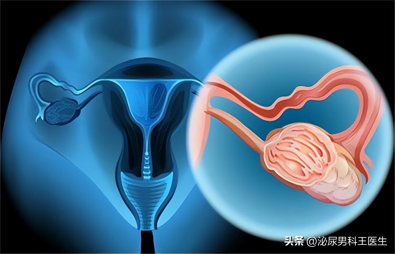 进入女性体内，没有成功“受精”的精子，都怎样了？