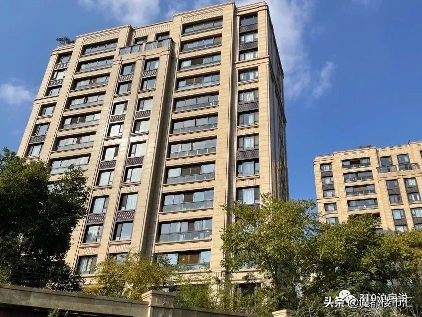 徐汇滨江310亿地王进展,徐汇滨江又一新地标亮相