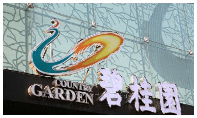 碧桂园和恒大最新消息,碧桂园与许家印