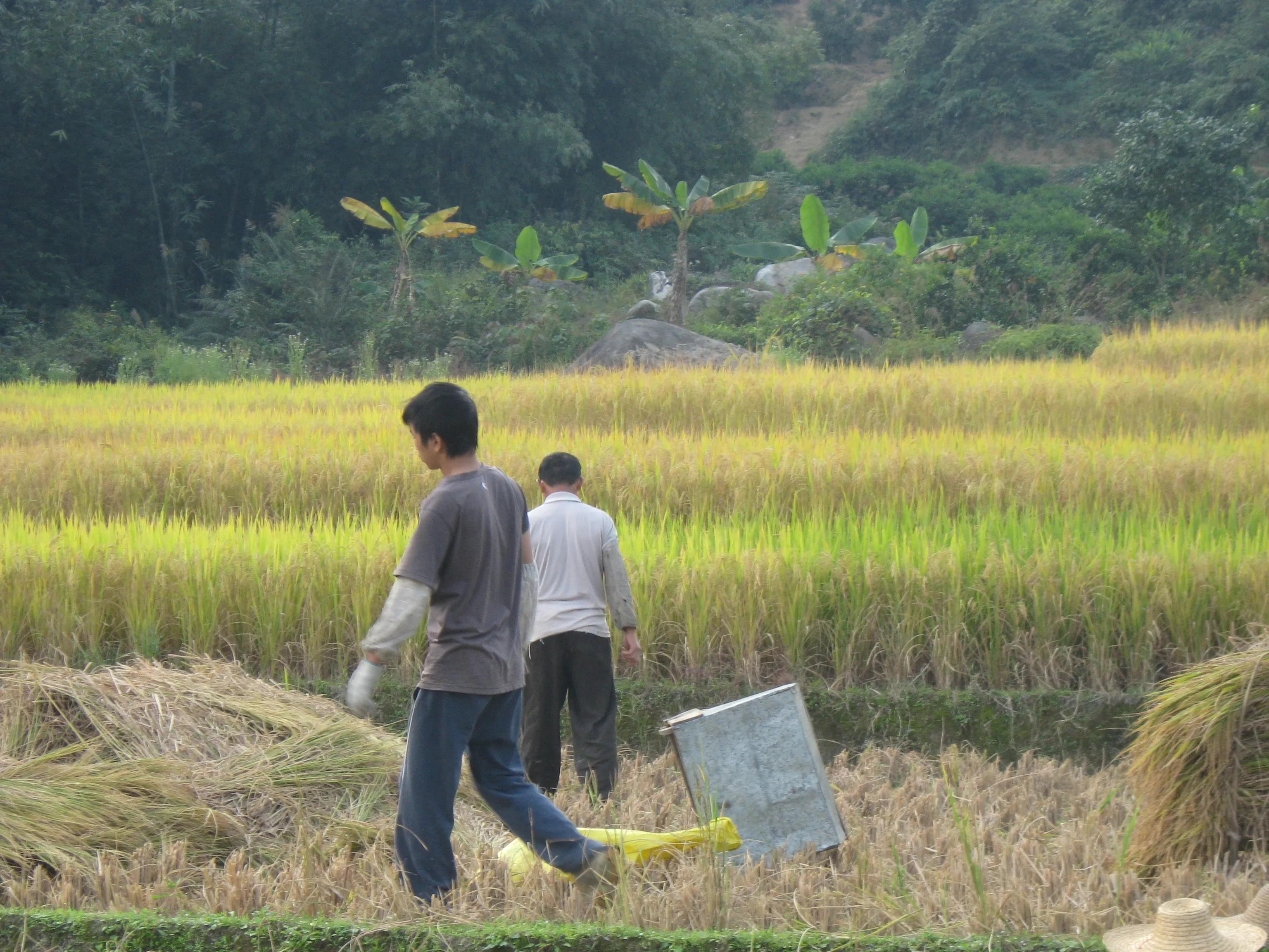 家有良田,家有良田阵容