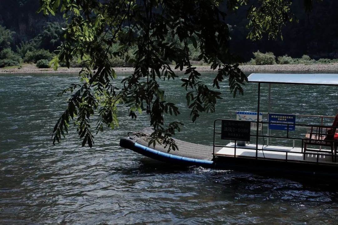 盘点那些过气网红的现状,2020年已经过气的网红