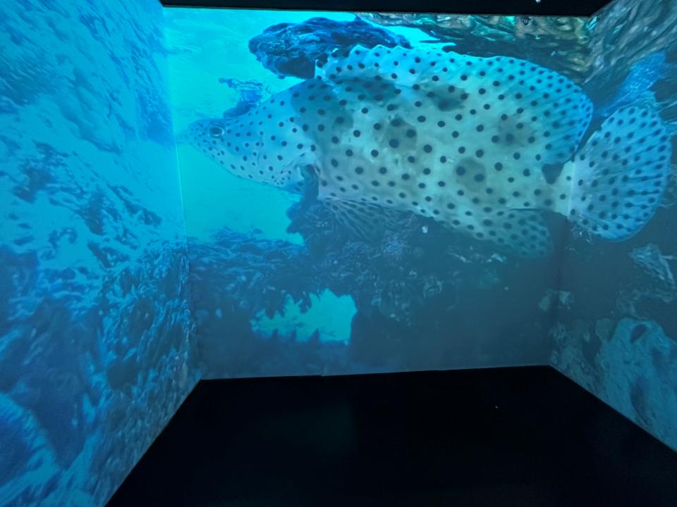 打卡文博会各大展馆,逛文博会这份攻略请收好