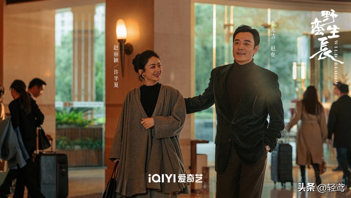 赵丽颖电视剧推荐9.0以上评分,赵丽颖各个剧的豆瓣评分