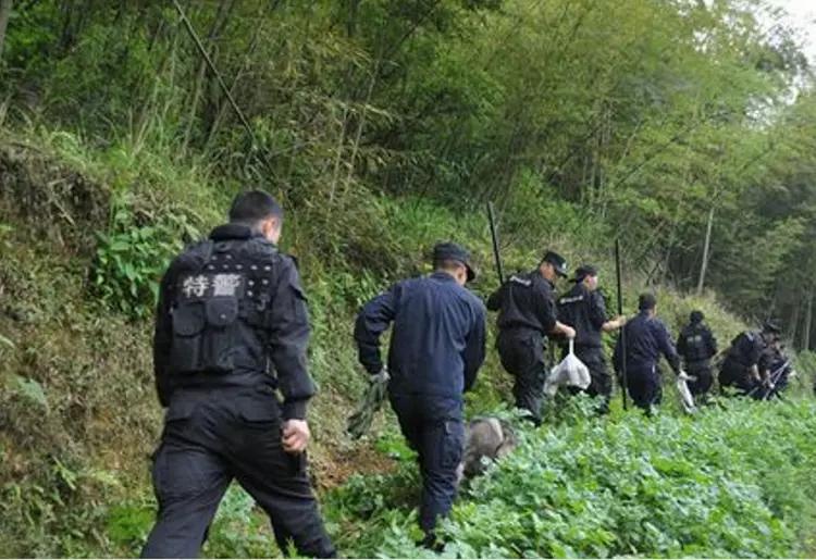 四川14岁少年杀害18岁女孩,13岁男孩杀14岁女孩事件