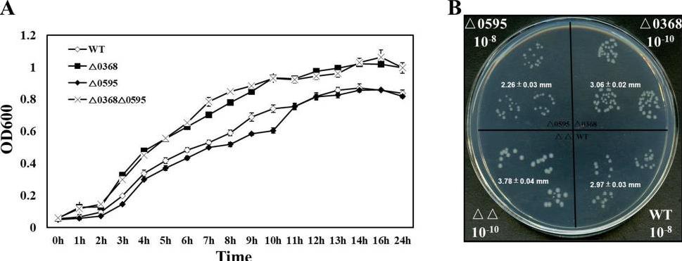 蛋白质组学基因组学转录组学,蛋白质组学在肿瘤的应用