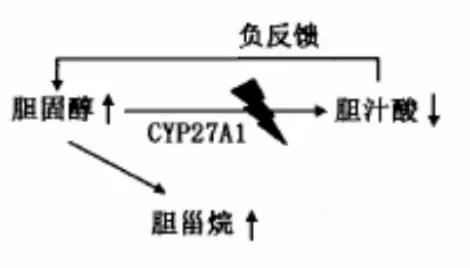 男子脚上有一个大包,小伙脚上长了个大脓包