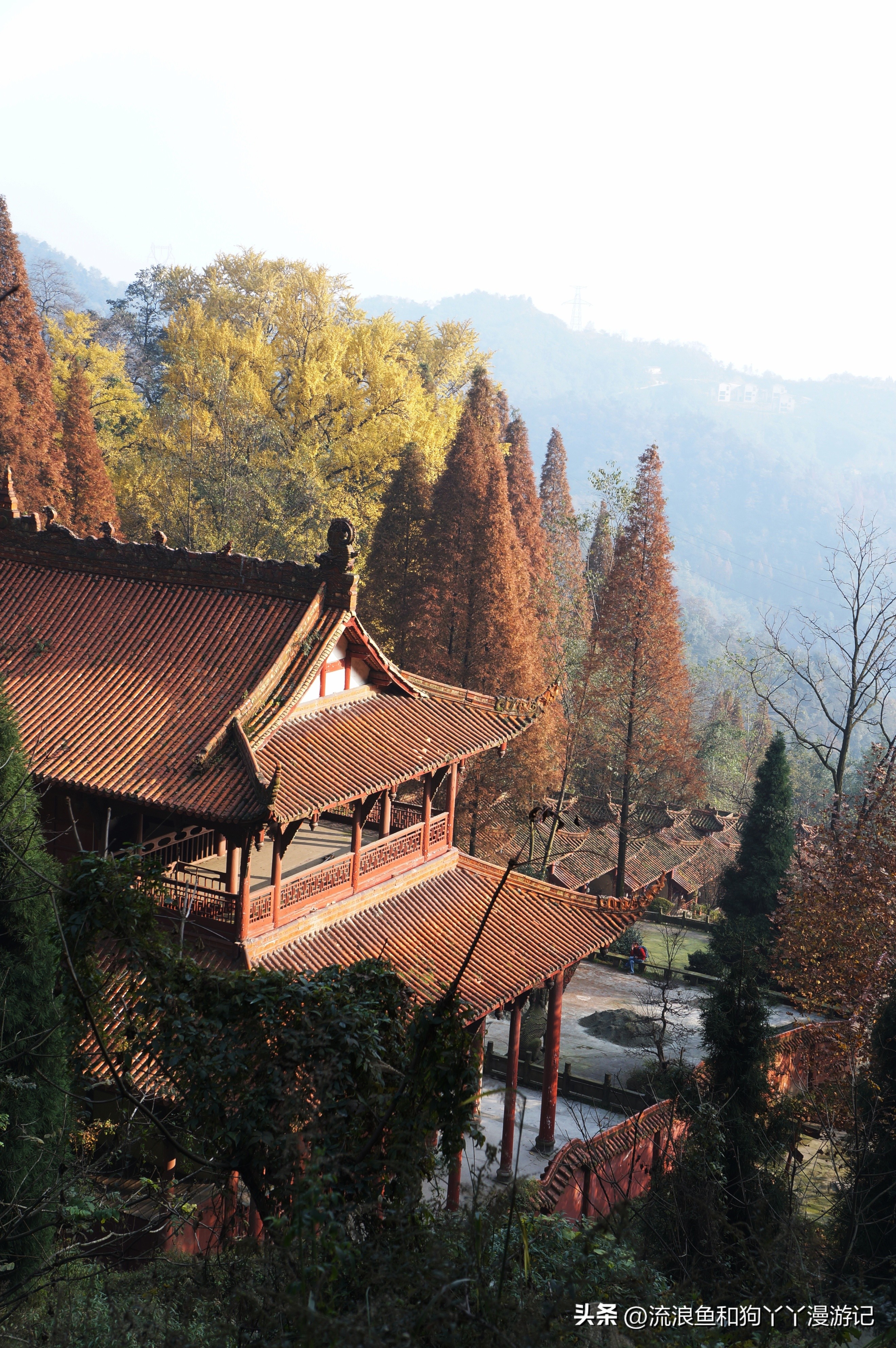 四月份成都近郊一日游好去处,2022成都近郊看雪一日游最佳去处
