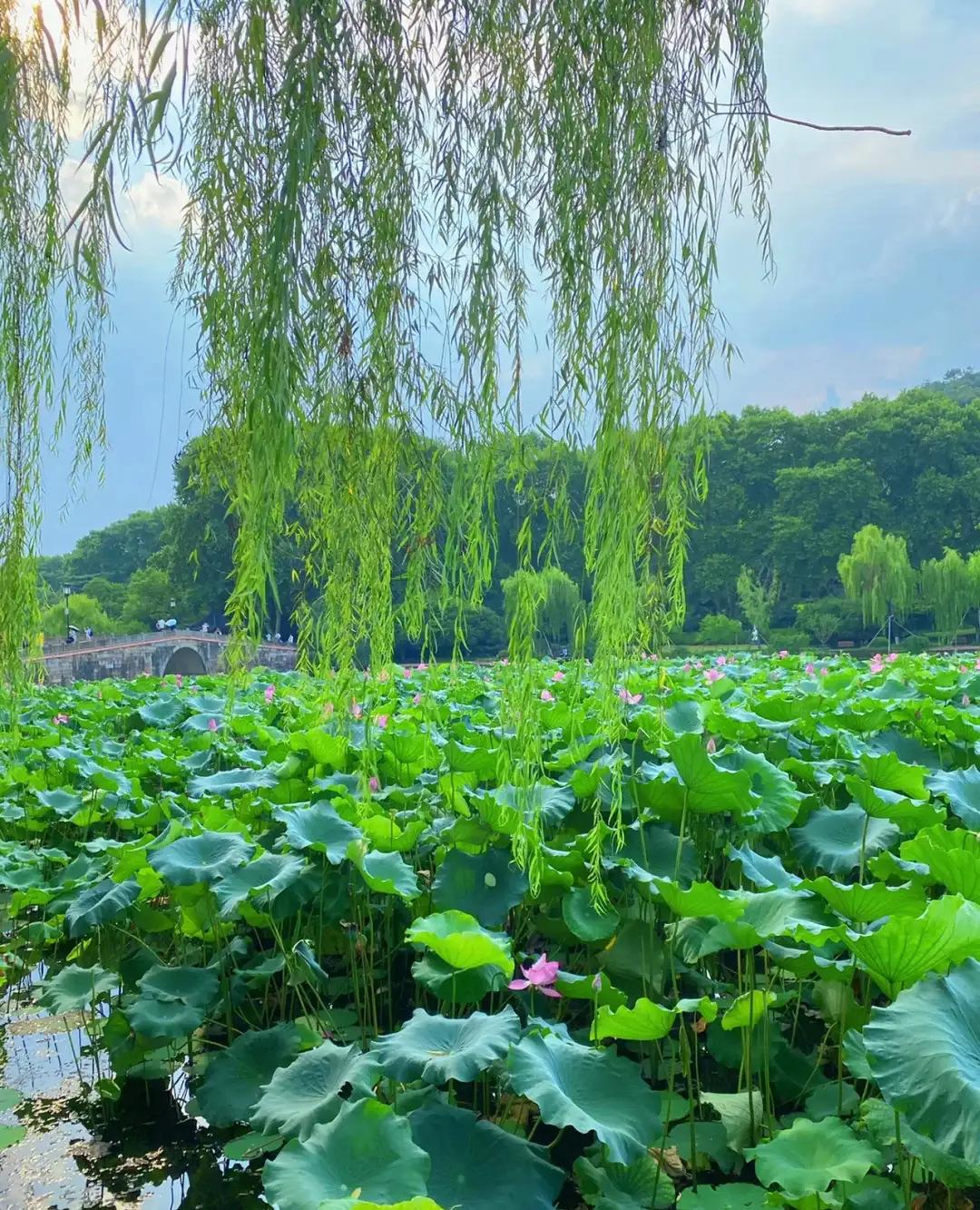 杭州西湖十景游玩攻略简介,杭州西湖十景全景图