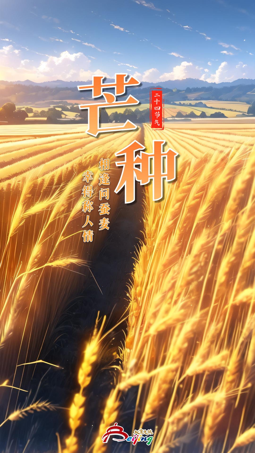 今日芒种|相逢问蚕麦,幸得称人情