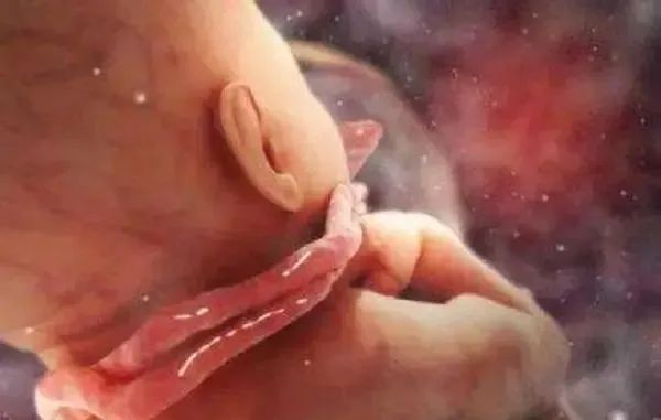 小女孩疑遭父母当街残忍虐待后续,一岁女婴被虐待