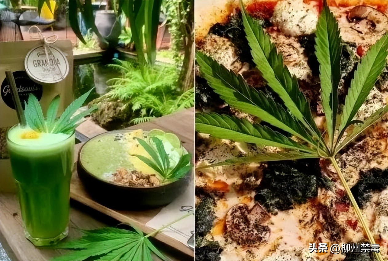 泰国现在大麻合法化旅游安全吗,泰国旅游大麻合法化如何规避