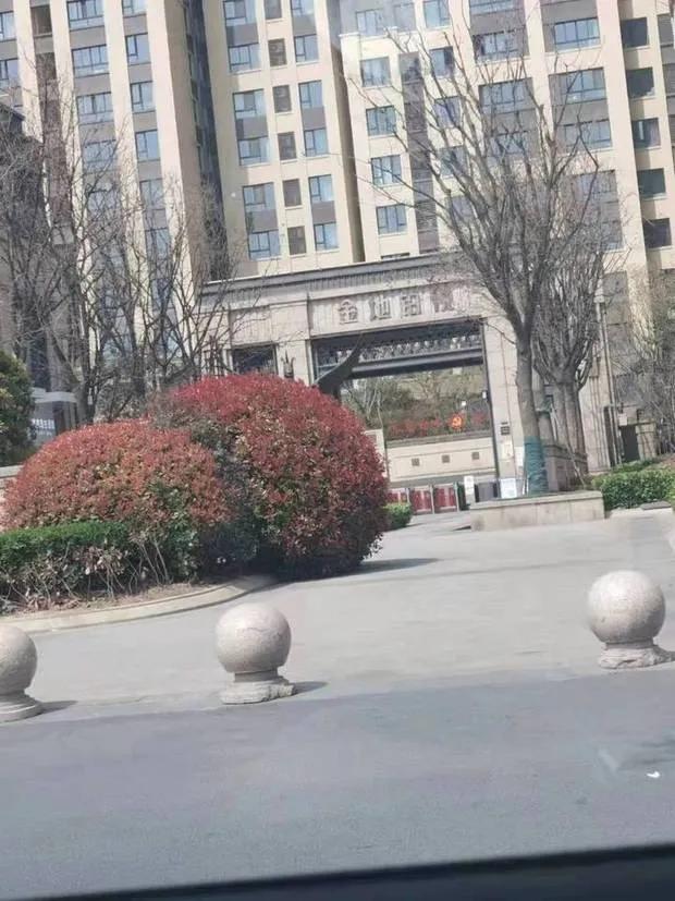 郑州金地铂悦最新消息,金地铂悦151户型图