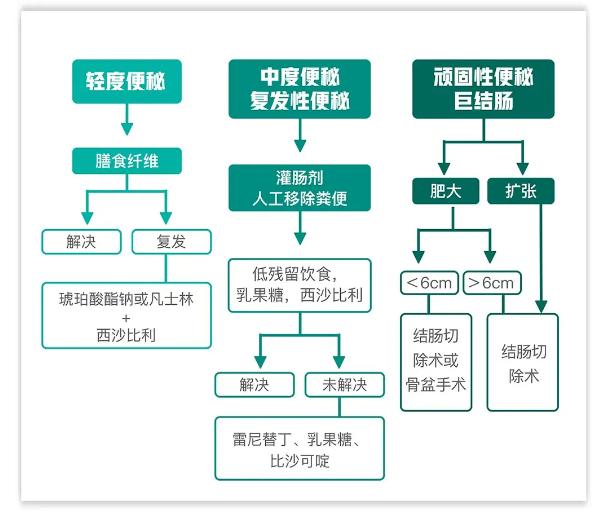 三天没铲屎猫咪会生病吗,小猫咪便秘了拉稀屎怎么办
