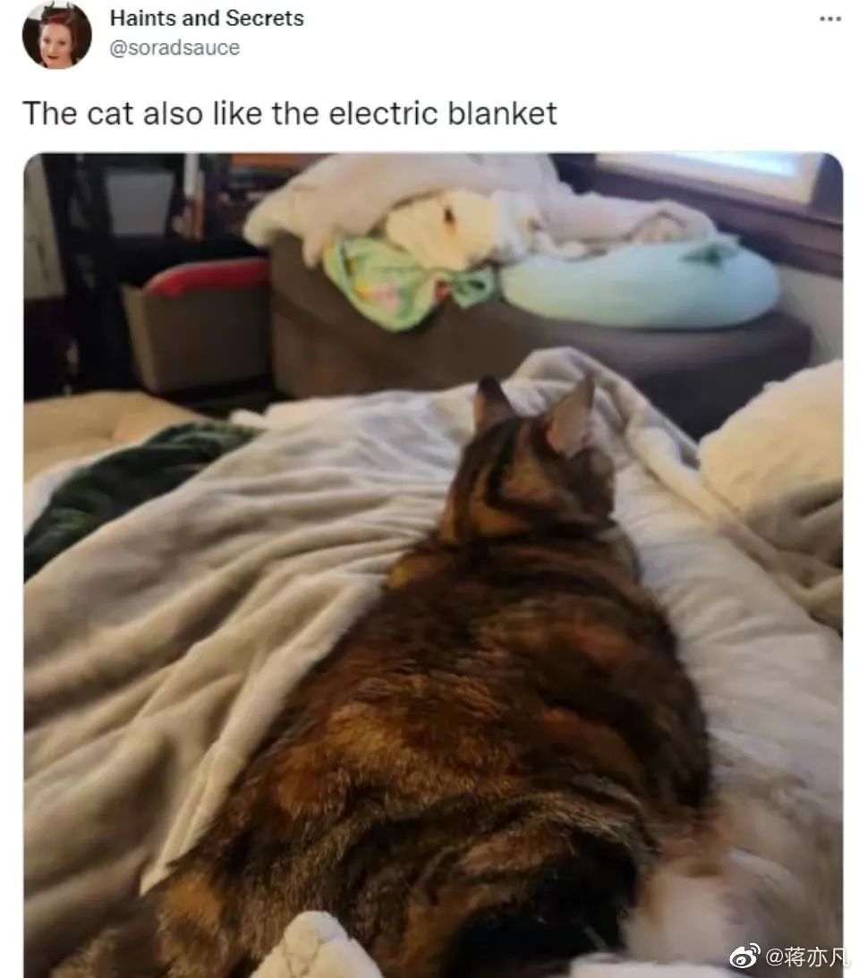 这11件过冬必备神器所有人都需要,欧洲人买什么东西