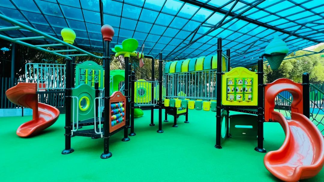 今年春节厦门哪里适合遛娃,春节厦门遛娃游玩攻略