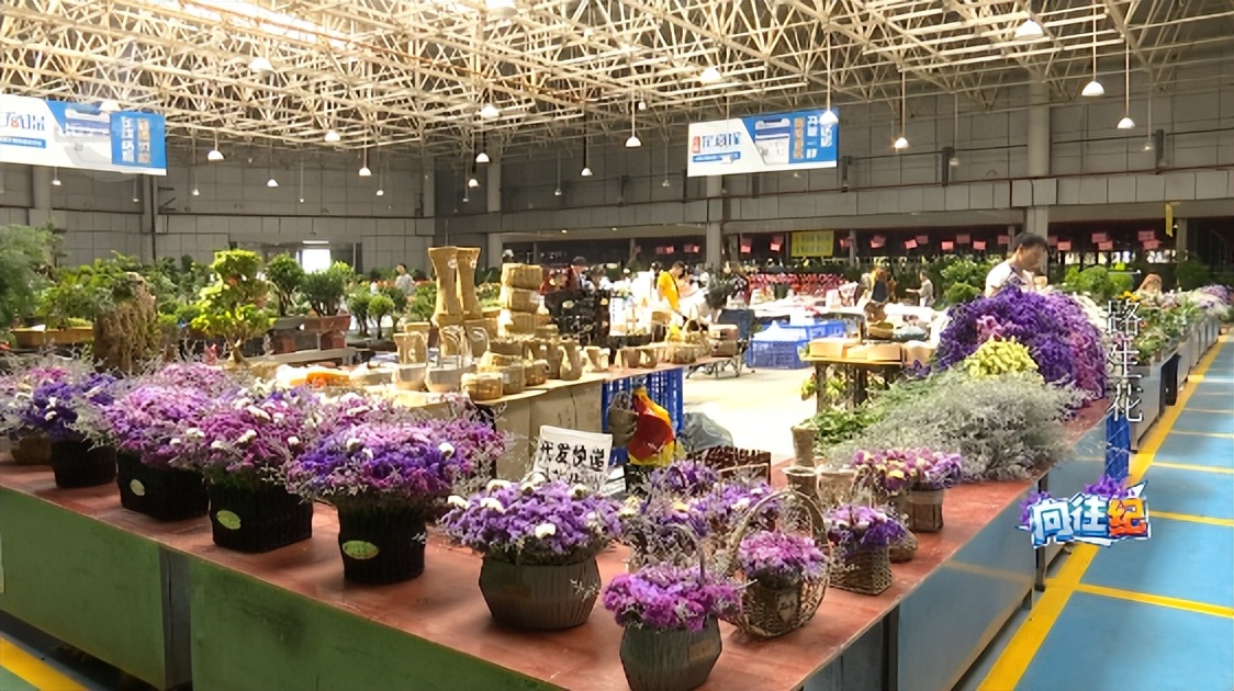 盘点人们都向往的工作,向往的工作和现实的工作