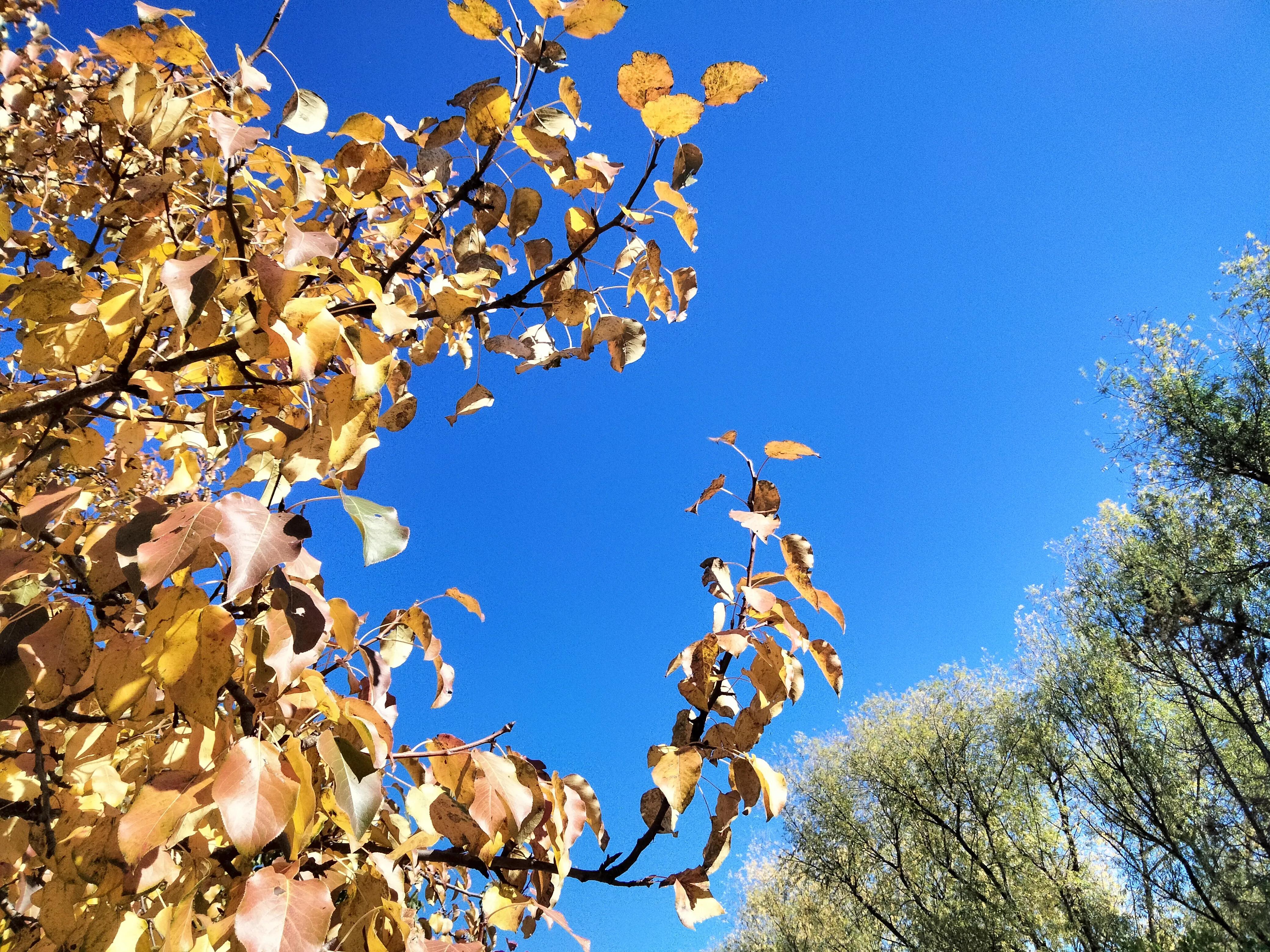 亲友群名片背景,家庭群名片