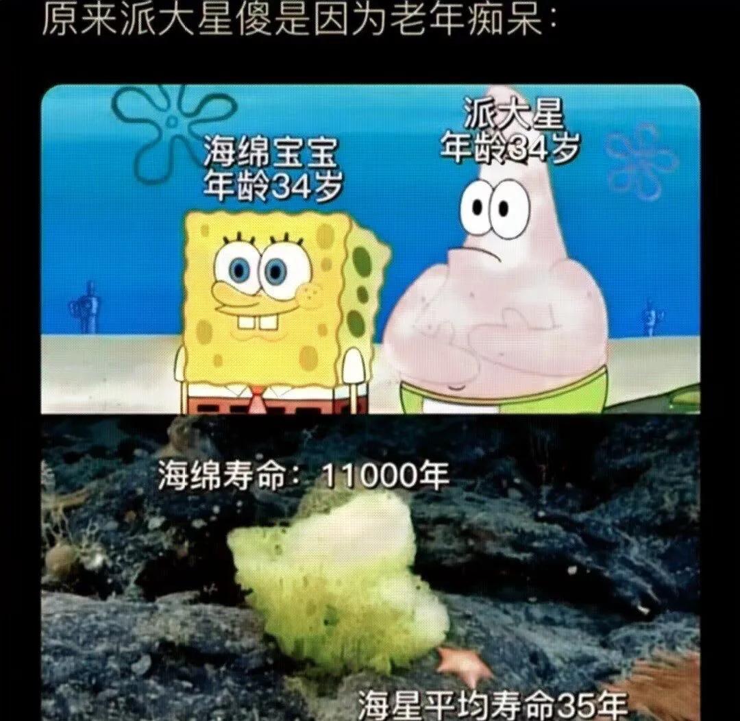 老婆包里发现的卡,老婆牙疼的特效药