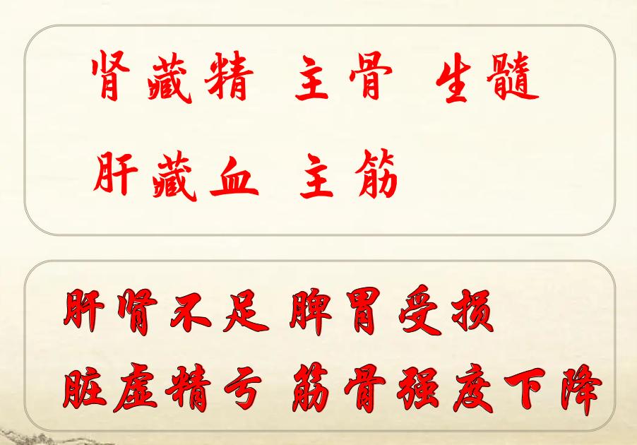 骨质疏松严重的话会导致什么情况,骨质疏松的四种人最容易骨折