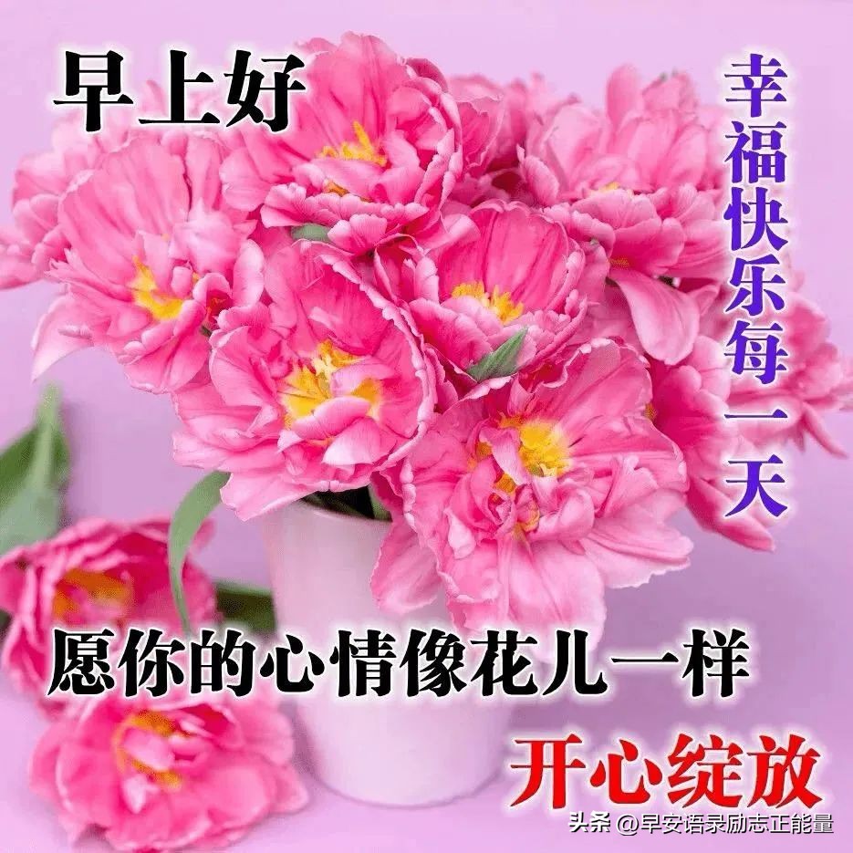 微商早安心语正能量一句话简短,微商早上发圈早安心语简短