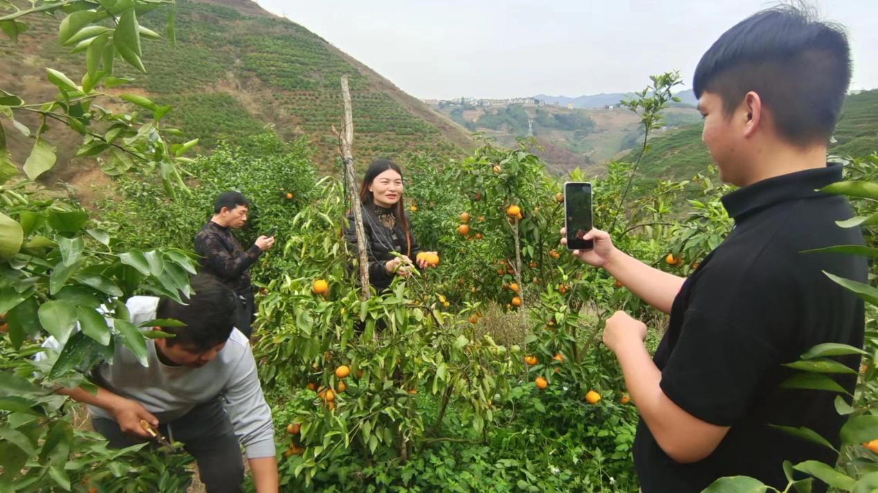 麻栗坡县电商示范县项目工作汇报2023年3月