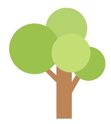 树是南京树,只有南京才有的树