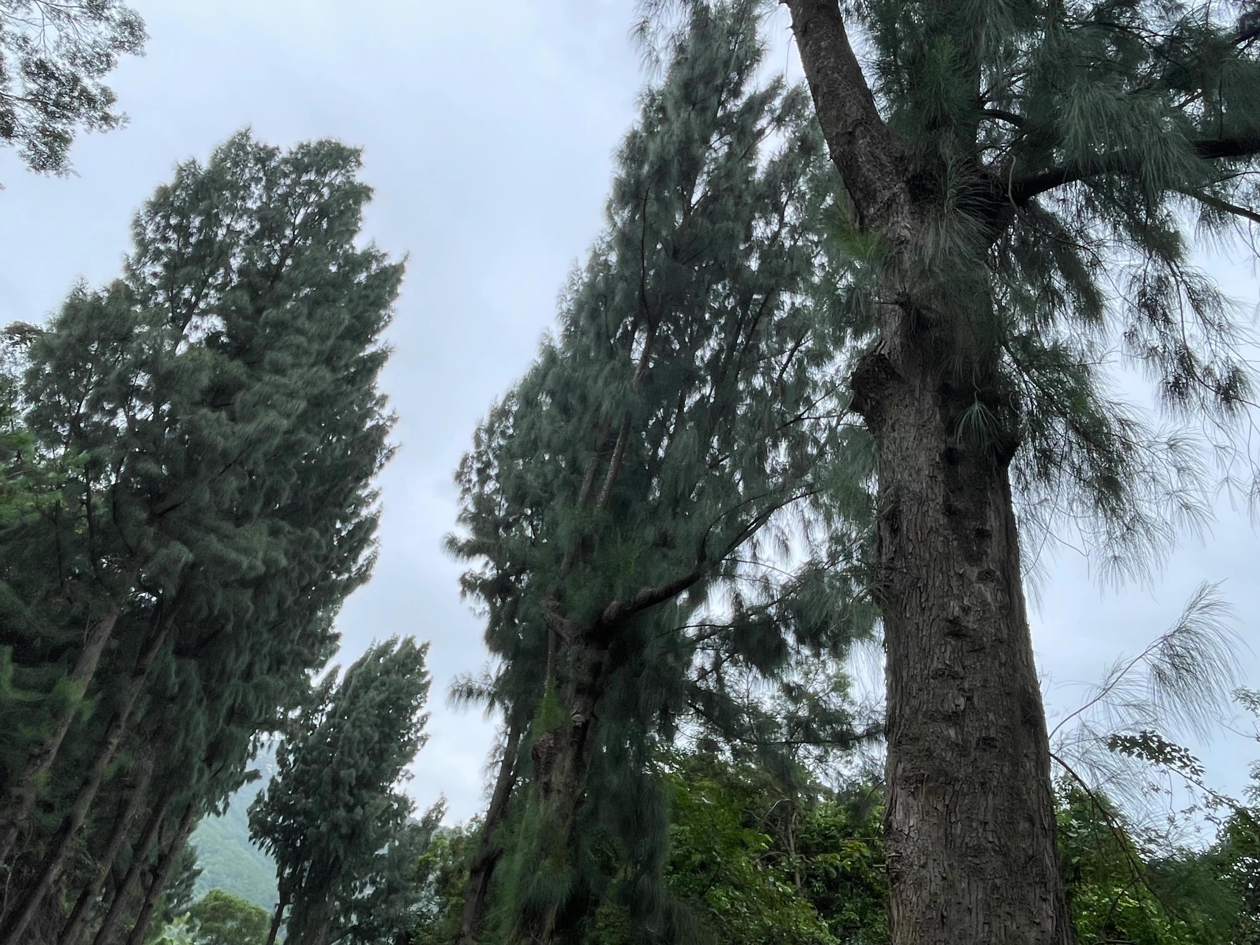 成都网红公路打卡地,万宁环海公路网红打卡点