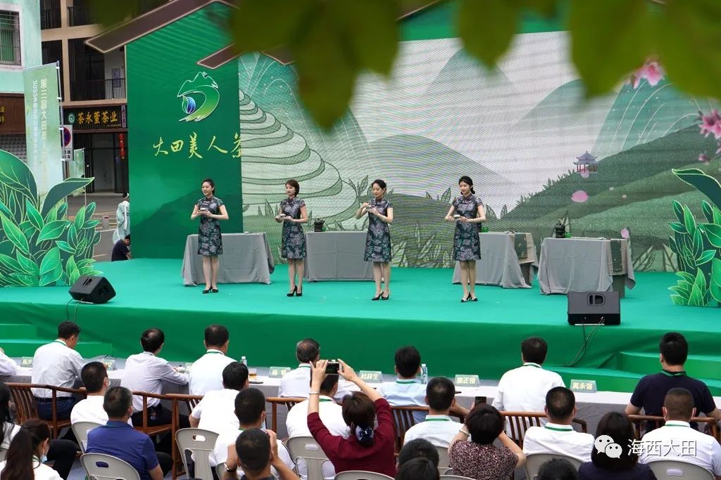 上海浦东大田美人茶迎来开茶季,海峡两岸美人茶大会福建大田举行