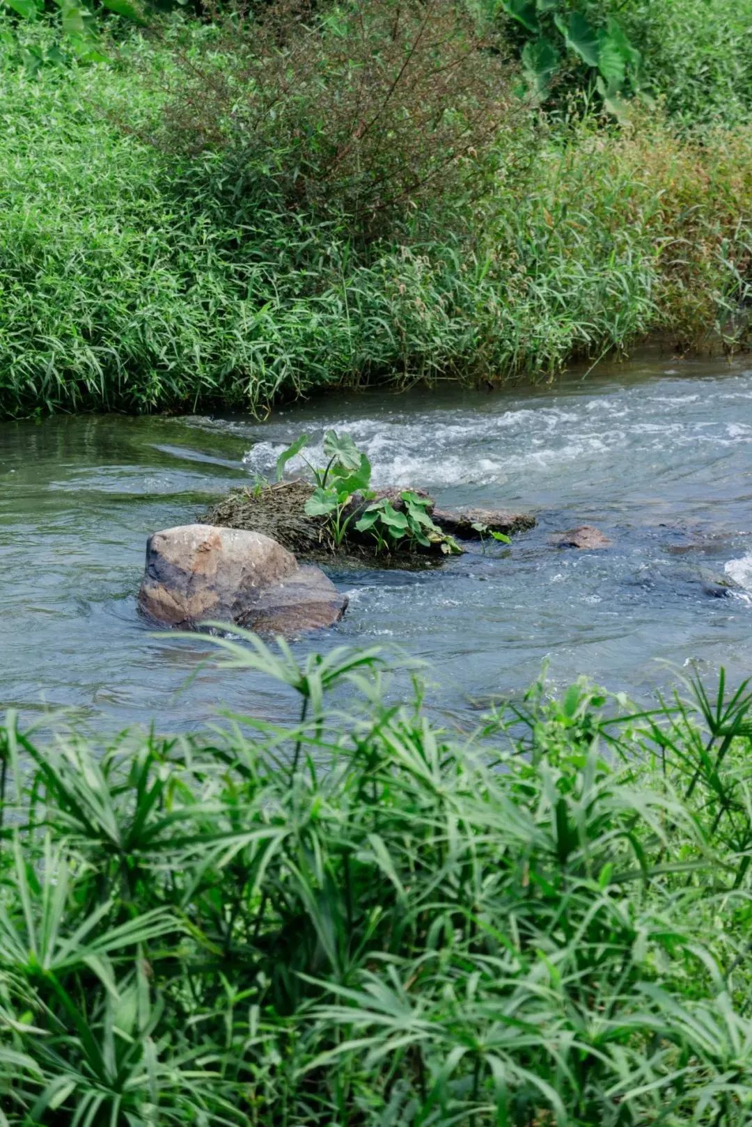 十大风景最美的湖泊排行榜,深圳风景美丽的湖泊