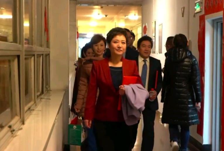 国脸女主持人海霞,央视美女主播海霞图片